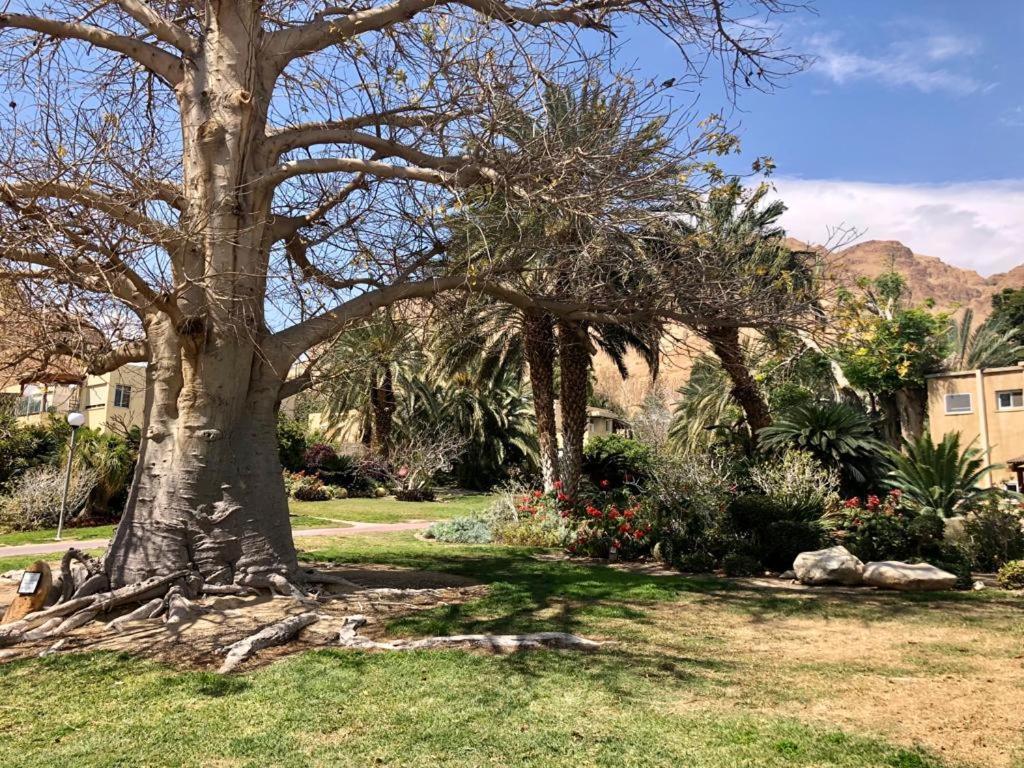 Ein Gedi Caravan By Dory Caravan Kültér fotó